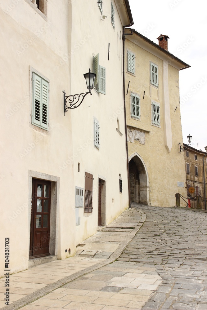 Stoned street in Motovun village, Istria, Croatia