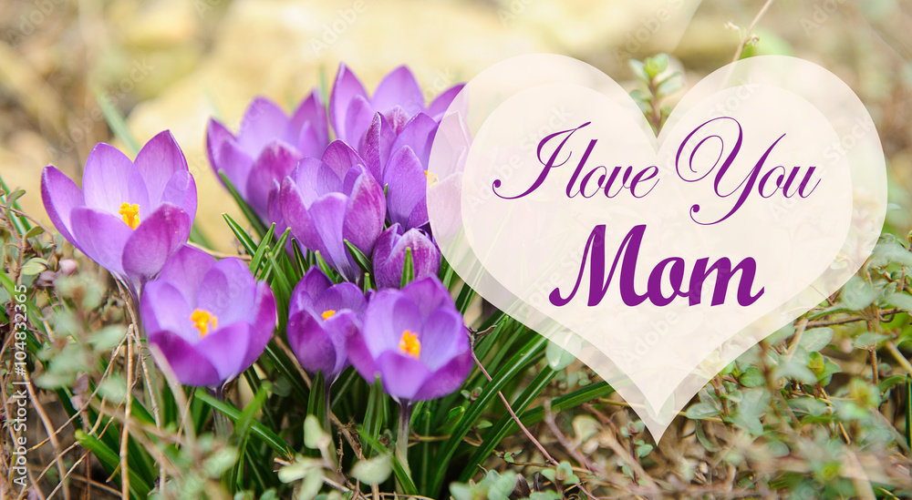 Mothers day card with flowers and heart. Purple flowers for mother day