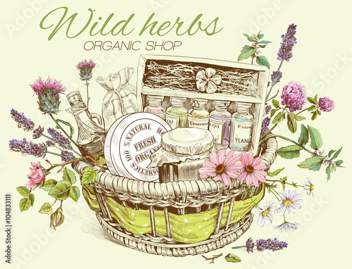 Vector vintage template illustration of hand-drawn basket with wild flowers, herbs and natural products. Design for cosmetics, store, beauty salon, natural and organic products.