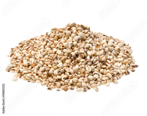 millet isolated on white background