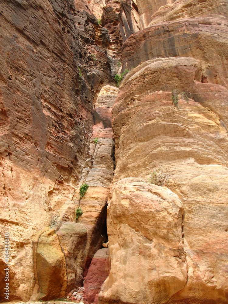 Gorge to Petra, Jordan