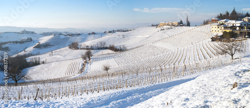 Langhe snowed vineyards, wintertime. Color image 