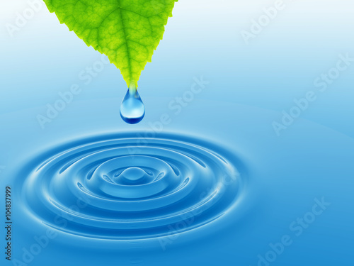 Green leaf with water drop and ripple
