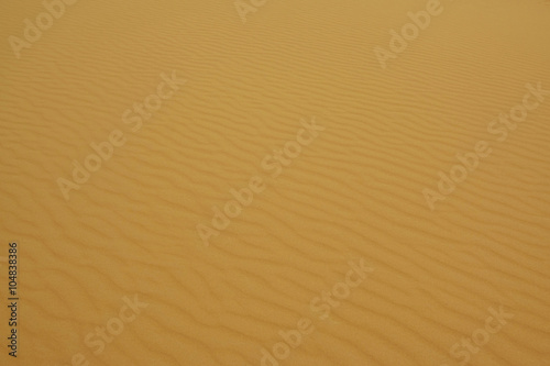 Sands of Erg Chebbi