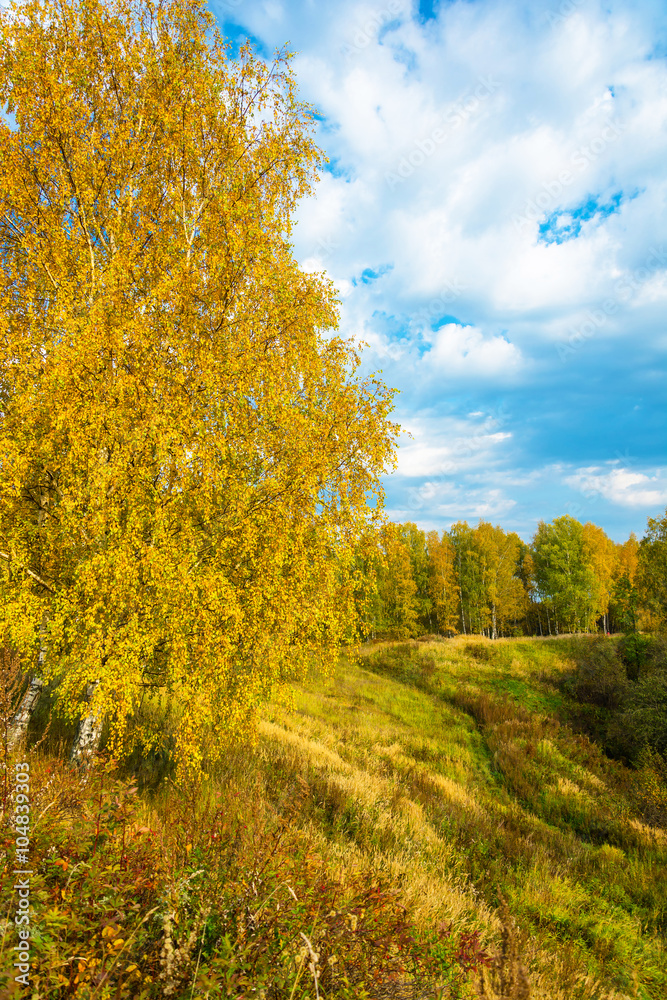 Naklejka premium The beginning of the Golden autumn.