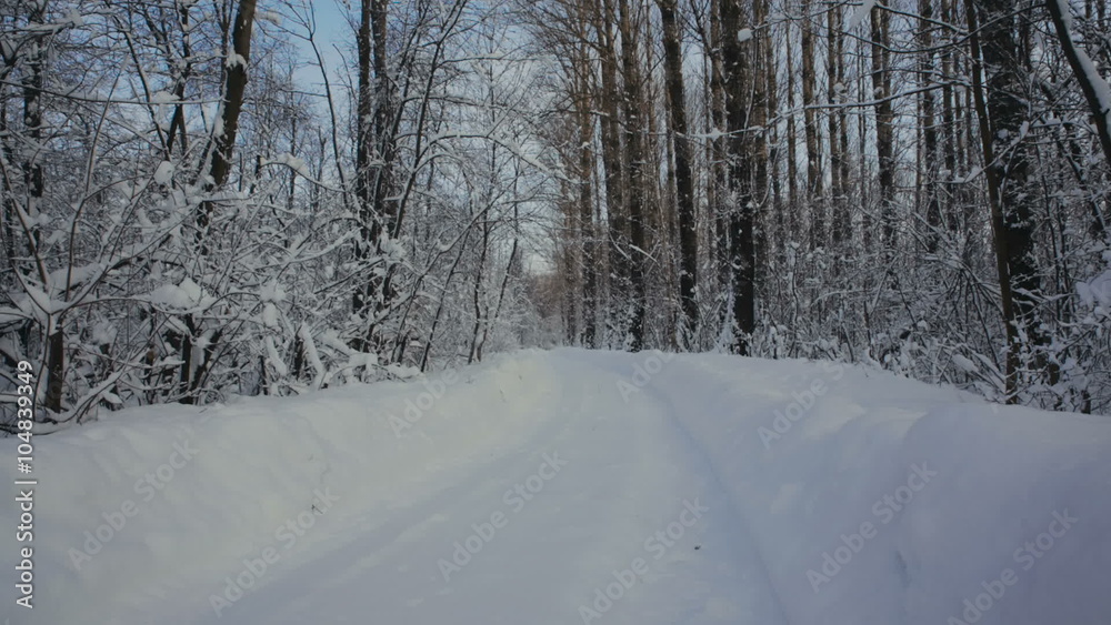 Road through snowy forest Road through snowy forest