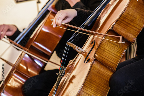 Orchestra Playing Double Bass