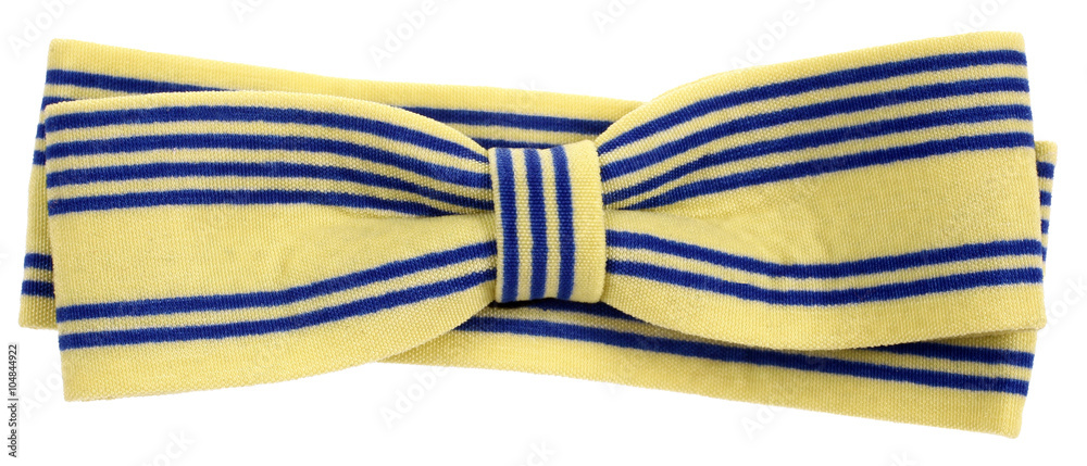 Hair bow tie yellow with blue stripes Hair bow tie yellow with blue stripes