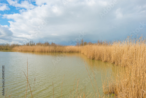 Shore of a lake in sunlight in winter