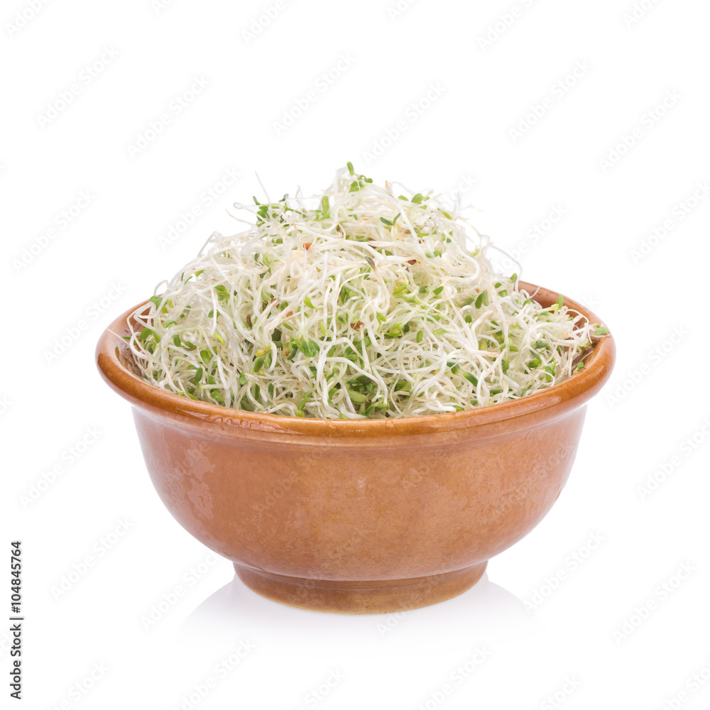 Sprouted alfalfa seeds on a white background Sprouted alfalfa seeds on a white background