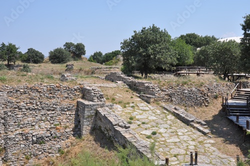 Ruins of Troy photo