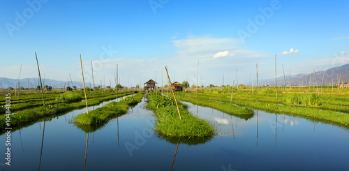 Floating gardens on Inle Lake in Myanmar photo