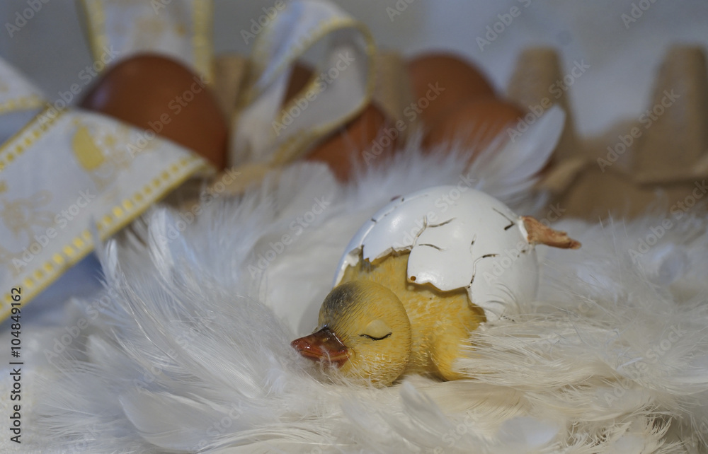 schlafendes Küken in der Eierschale