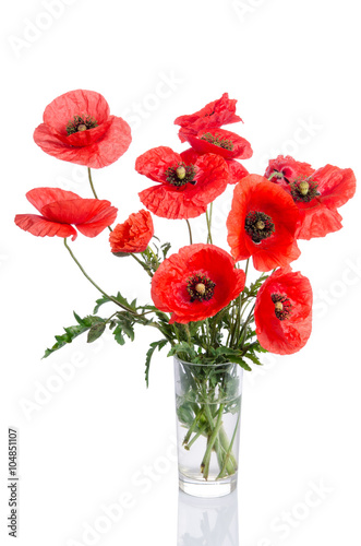 Bouquet of poppies in glass vase isolated on white background