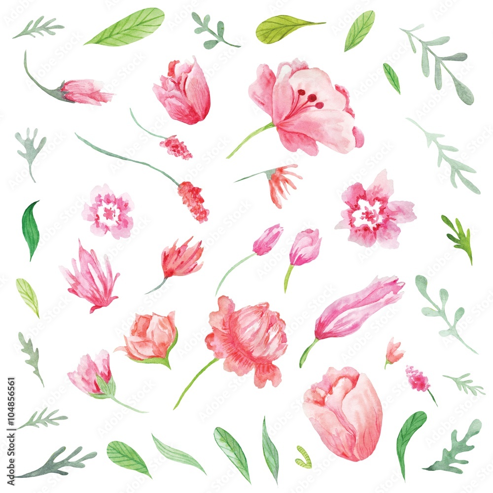 Set of Watercolor Spring Flowers and Leaves