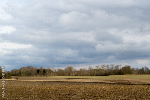 Denmark field on spring, agriculture