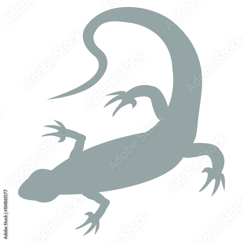 Stylized icon of a colored lizard on a white background