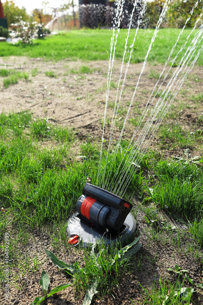 Pop-up oscillating sprinkler watering fresh green lawn grass in the autumn  garden Stock Photo | Adobe Stock