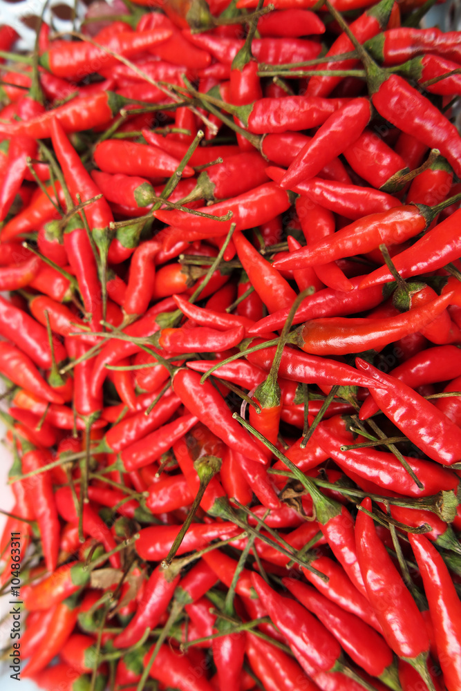 Chili peppers (Capsicum frutescens) on the Asian market Chili peppers (Capsicum frutescens) on the Asian market