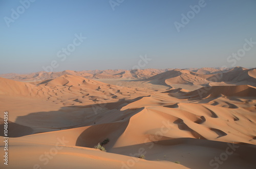 Sand dune panorama