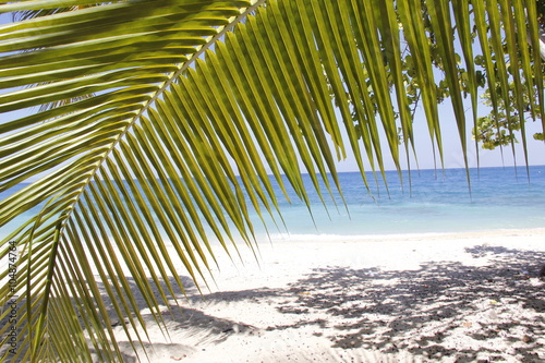 Taino beach GrandGoave photo