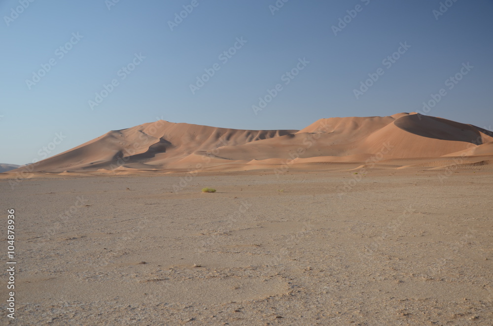 Plane and sand dunes Oman