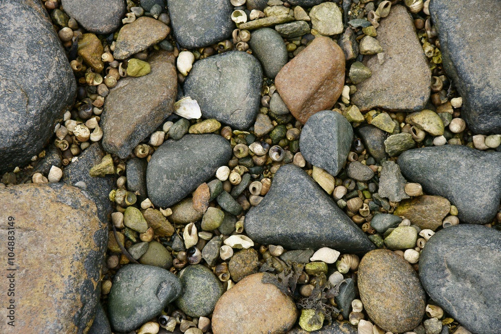 Multicolored stones with small seashells in between. Multicolored stones with small seashells in between.
