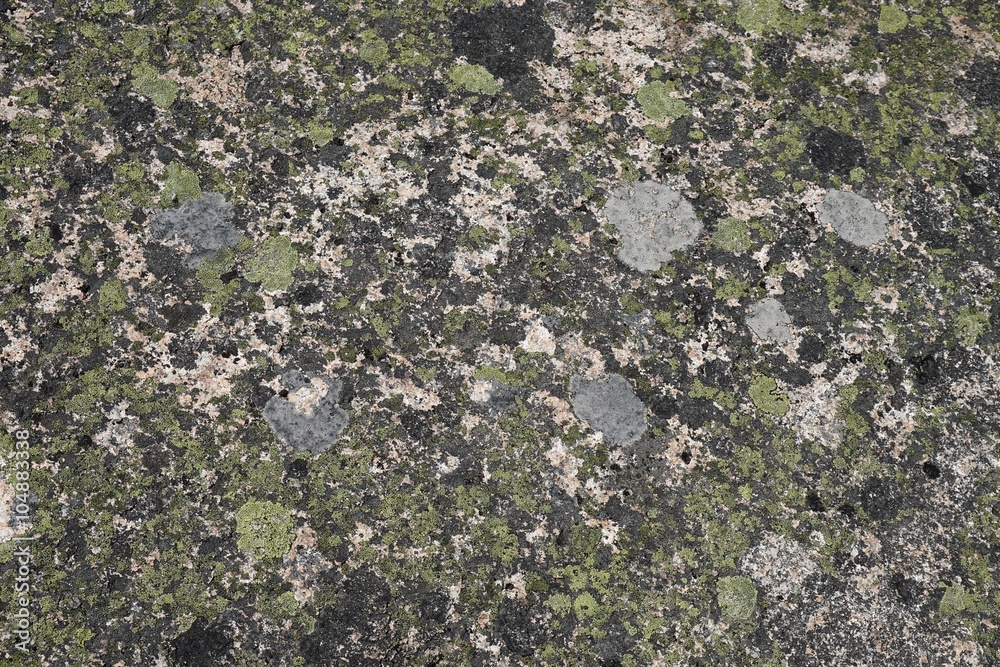 Stone covered with green and blue lichen texture. Stone covered with green and blue lichen texture.