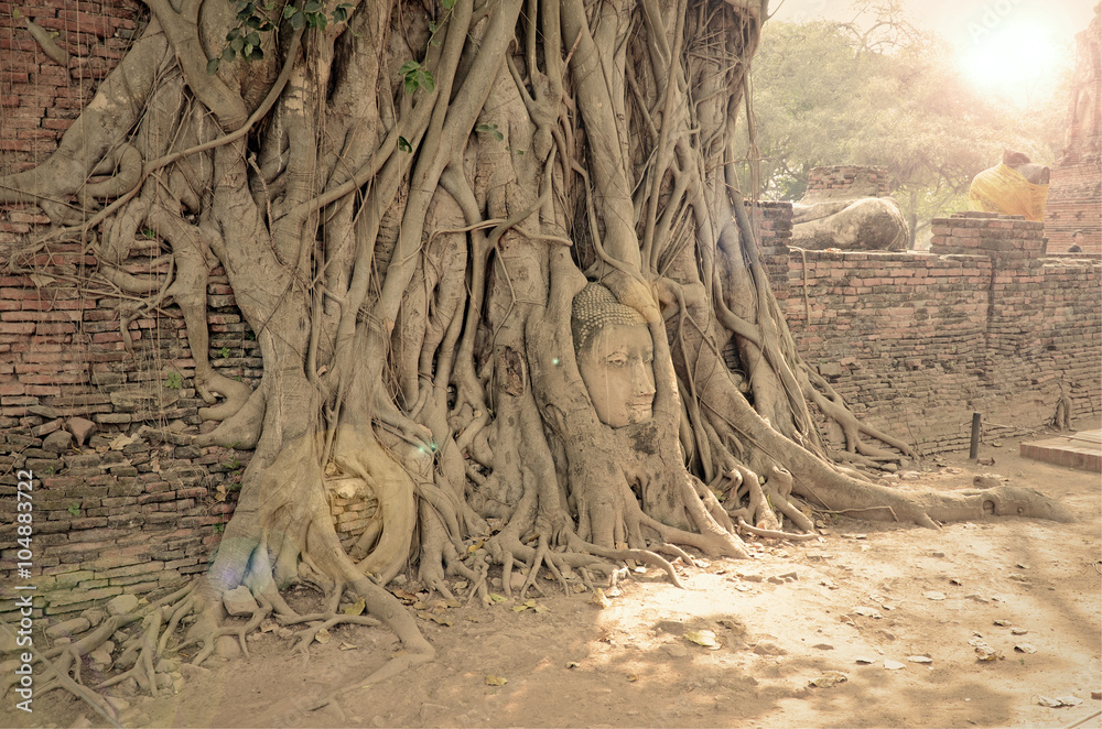 Obraz premium Tourist Attraction, Head of Buddha in Wat Mahathat The Temple of Great Relic of Ayutthaya, Thailand.