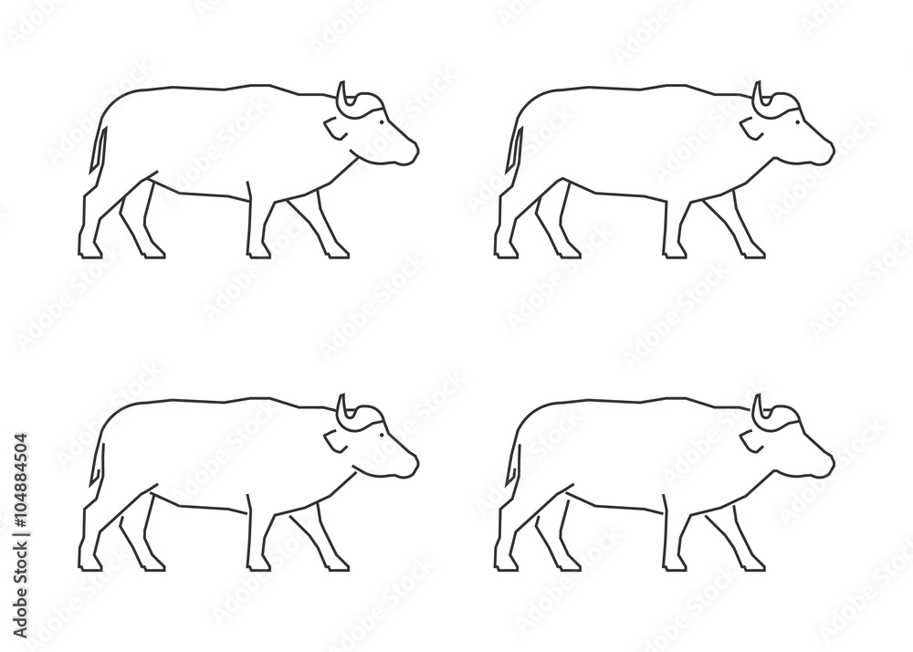 Vector outline african buffalo. Modern line african buffalo.
