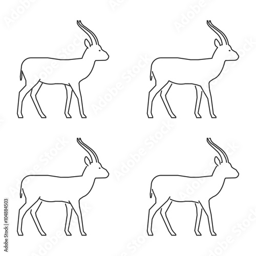 Vector outline gazelle. Modern line set of springbok.