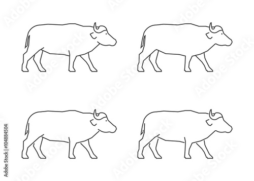 Vector outline african buffalo. Modern line african buffalo. © karpenko_ilia