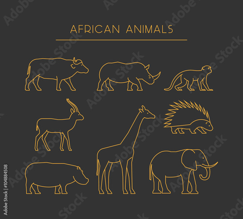 Vector line african animals. Gold silhouettes african animals.