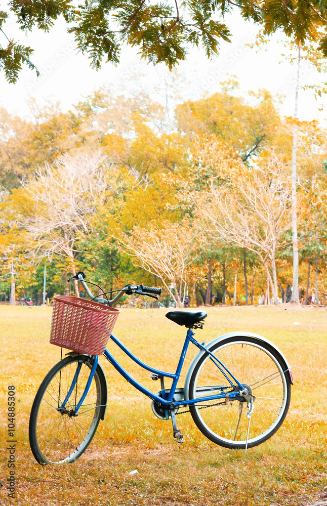 Vintage bicycle waiting near tree, in vintage retro tone