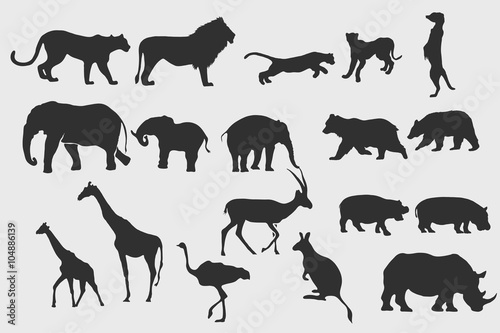 Safari animal silhouettes