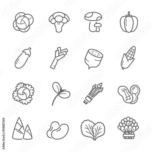 Lines icon set - vegetable vector illustration