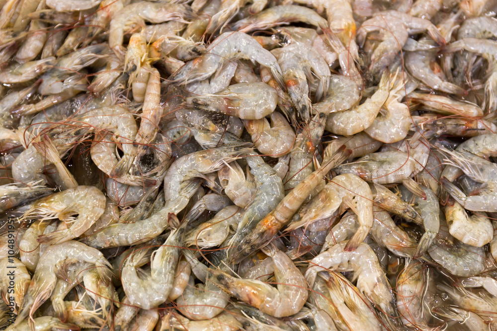 Raw shrimps for sale on the market