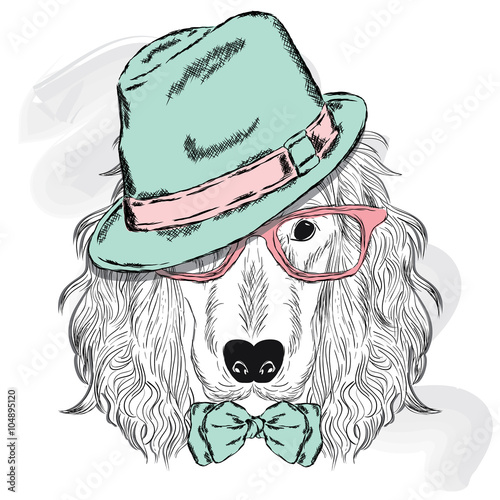 Spaniel vector . Pedigree dog. Cute puppy. Spaniel wearing a hat , sunglasses and a tie . 