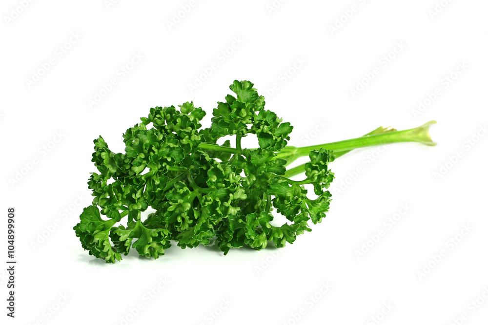 parsley isolated on a white background parsley isolated on a white background
