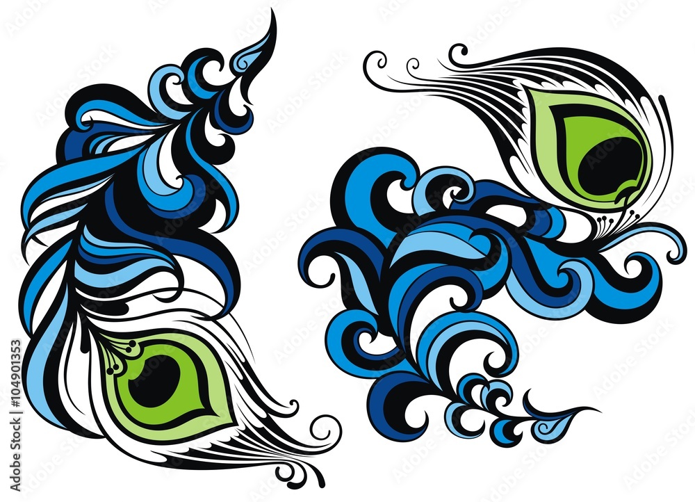 Fototapeta premium Feathers.Peacock feathers collection