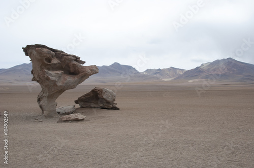 Rock formation (Arbol de Piedra) in Salar de Uyuni, Bolivia.
