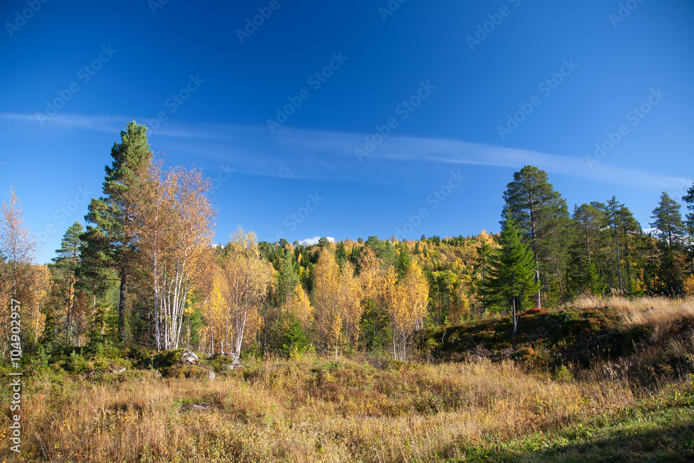 Fototapeta premium Norway Nature Scandinavian North Travel Landscapes