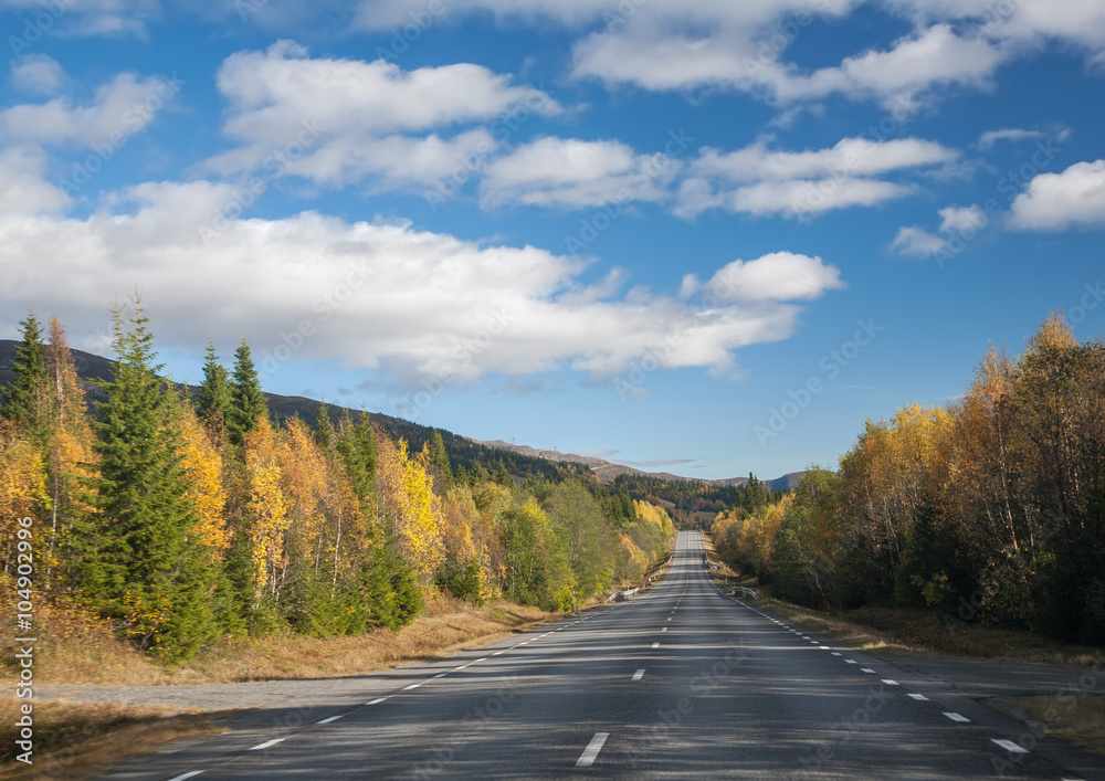 Fototapeta premium Norway Nature Scandinavian North Travel Landscapes