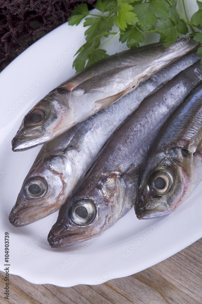 whiting and mackerel on plate whiting and mackerel on plate