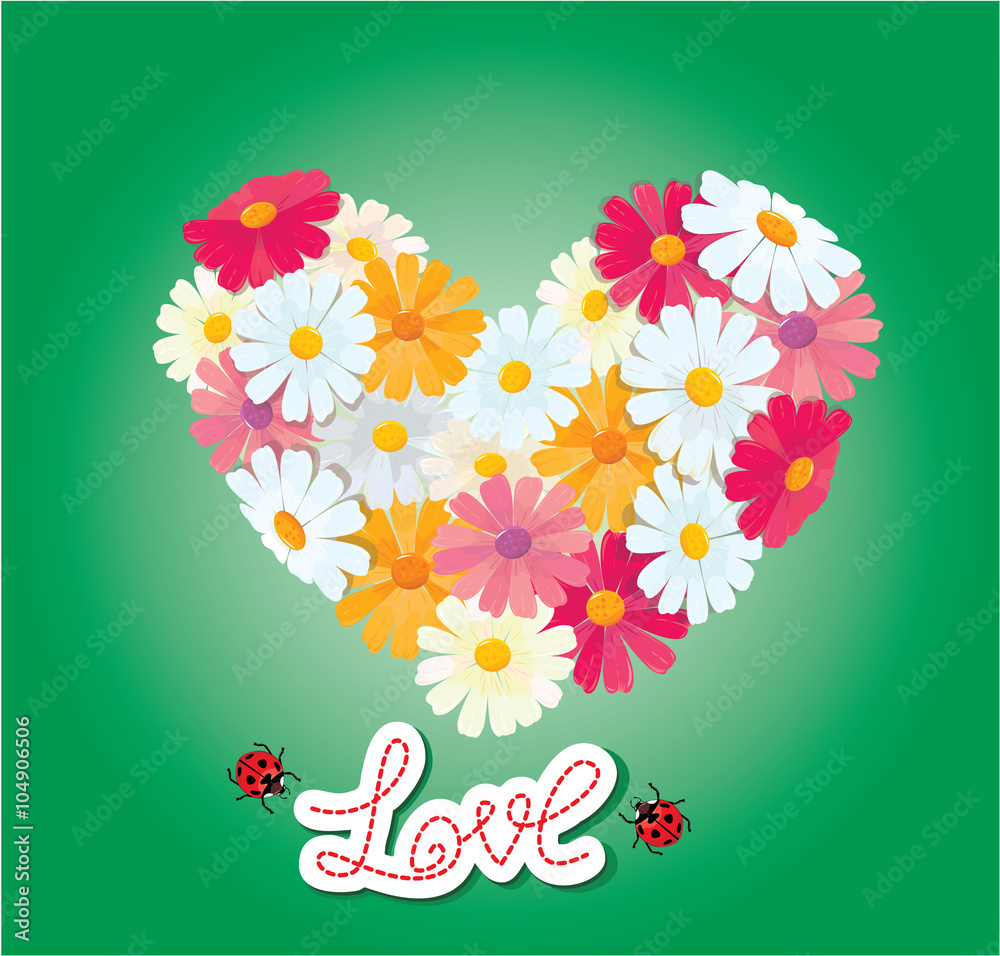 Heart is made of daisies on a green background. Valentines day c