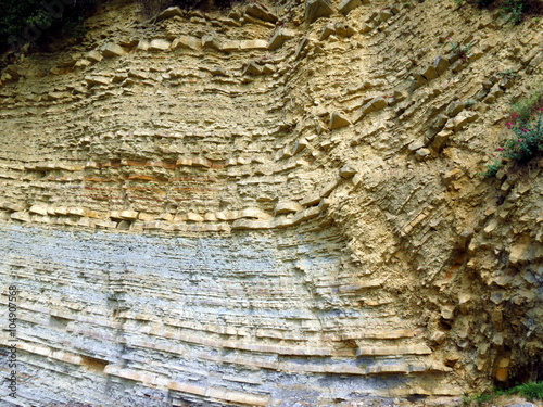 Cliff face showing flysch layre strata