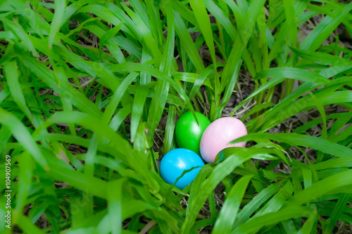 Easter eggs in grass shrub