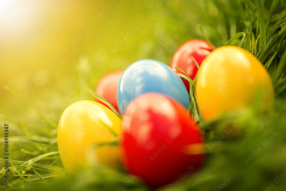 Easter eggs on grass Easter eggs on grass