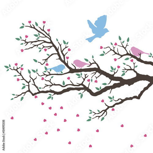 Vogelhochzeit im Frühling - Hintergrund