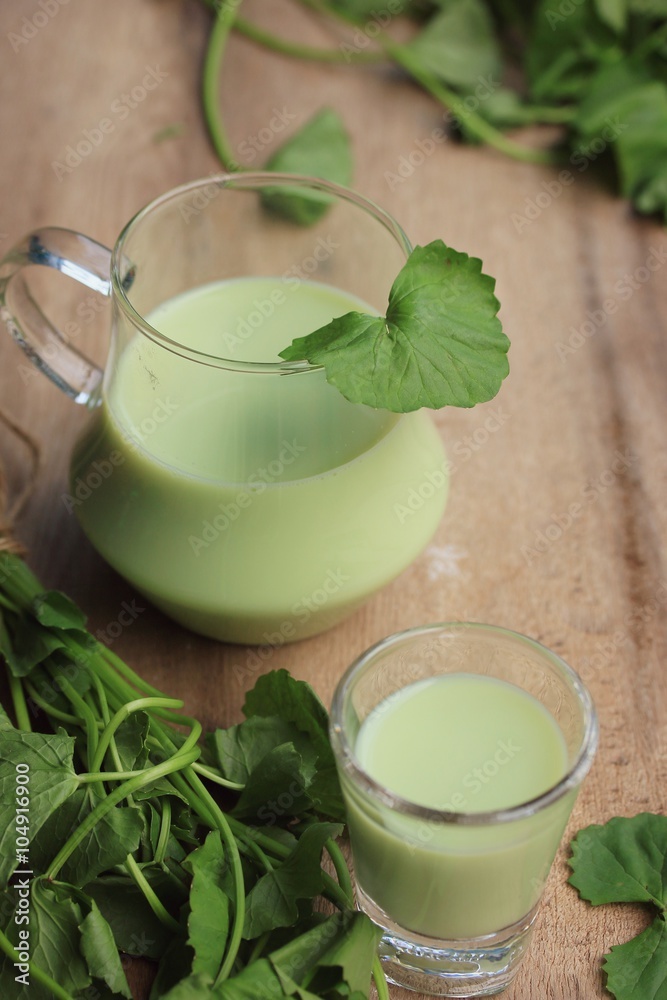 The asiatic with soybean milk The asiatic with soybean milk